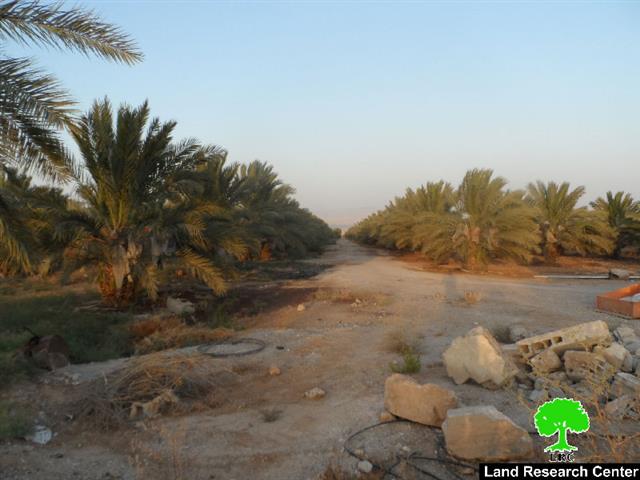 جيش الاحتلال الاسرائيلي يهدم غرفة زراعية شرق مدينة أريحا