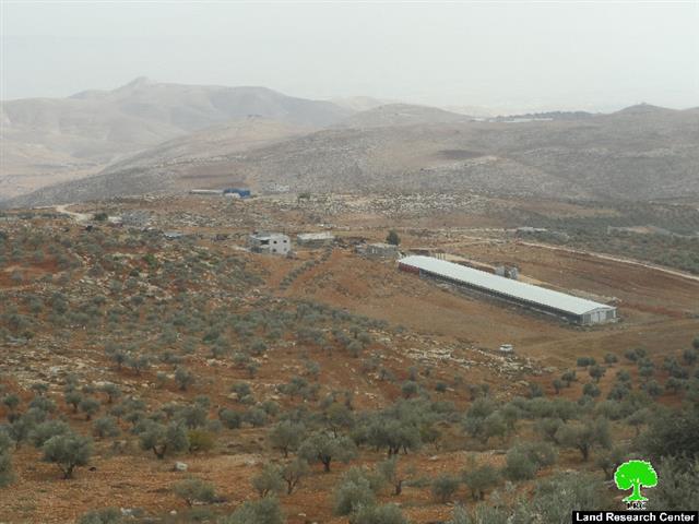 Itamar colonists ban residents of Al-Yanun village from picking olives