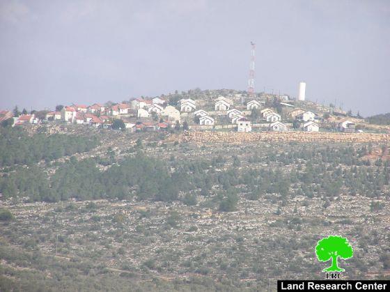 إحراق 6 دونمات زراعية في قرية عورتا /محافظة نابلس