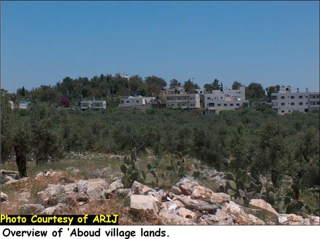 ‘Aboud, the city of flowers, threatened by the Israeli Segregation Wall
