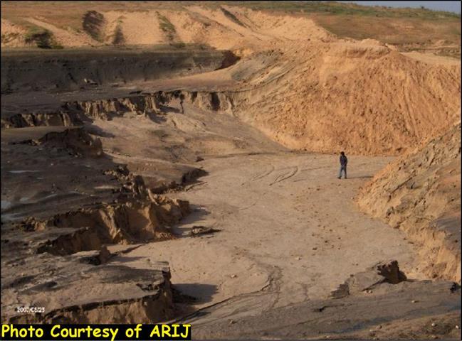 الكارثة البيئية في قرية أم النصر