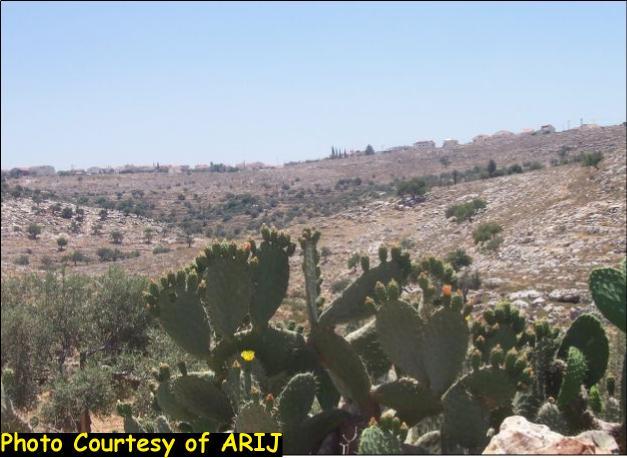 In breach of the International law, the Segregation Wall continues to grab more Palestinian lands !!! “The Case of Ni’lin Village. “