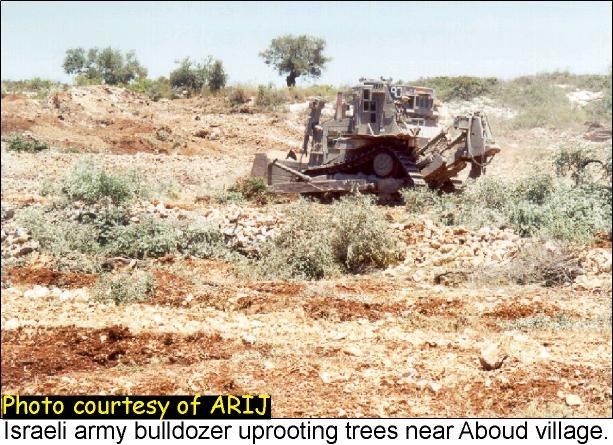 An Assessment of the Israeli Practices on the Palestinian Agricultural Sector