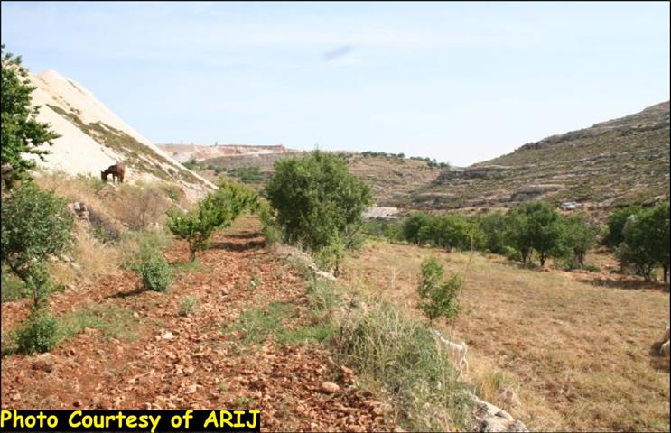Artas village lands are targeted for settlement expansion