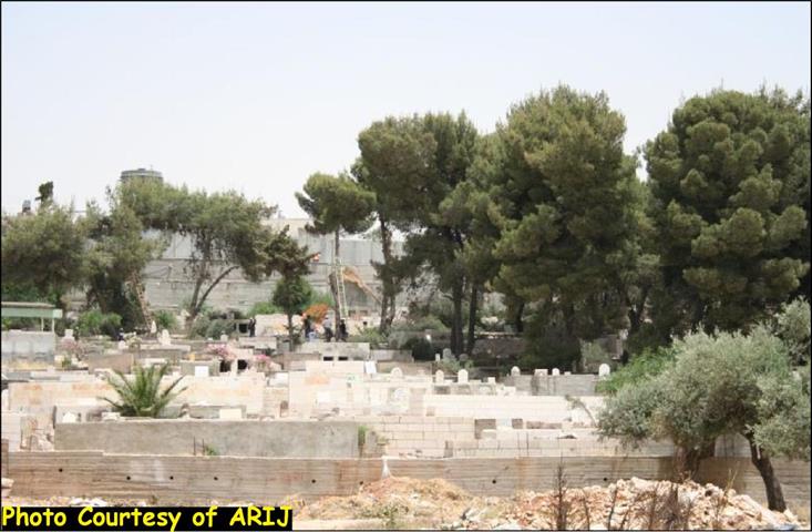 Uprooting of Trees in the Vicinity of Rachel’s Tomb