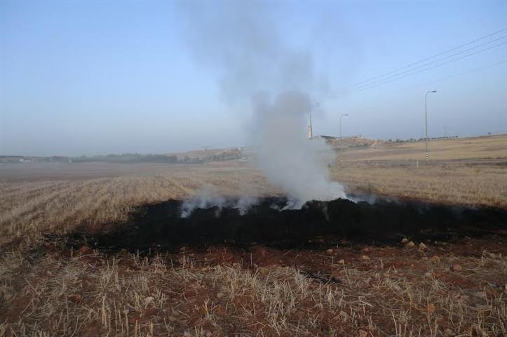 Israeli Settlers torched crops in Yatta