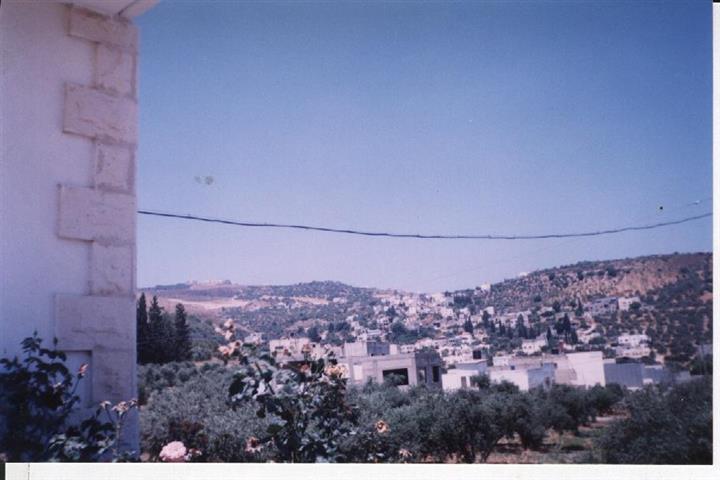 The remaining lands of Attayba village threatened by the Segregation Wall constructions