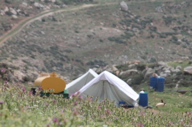 Demolition Campaign in Beit Furik Town Southeast of Nablus