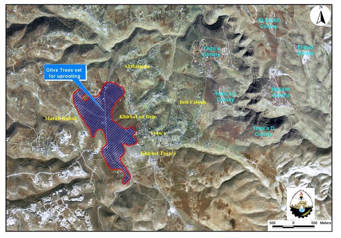 Ecocide in Tequ’a Town