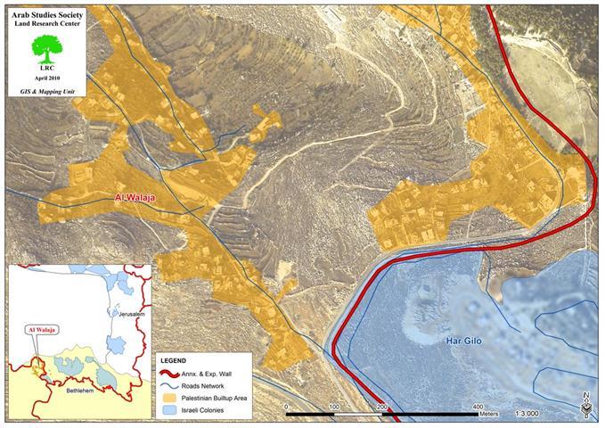 The Uprooting of 100 Olive and Almond Trees in Al Walajeh