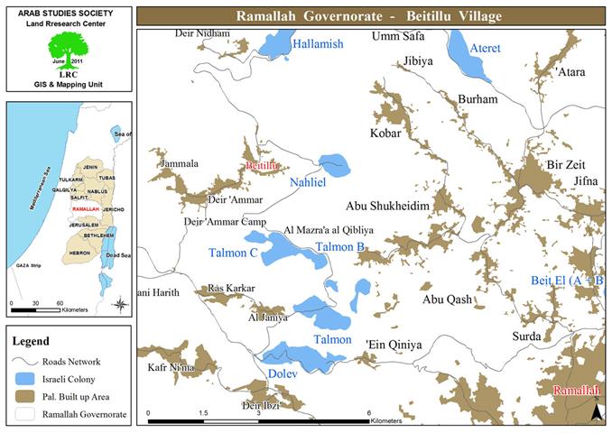 Ruining 32 Olive Trees in Beitillu – Ramallah Governorate