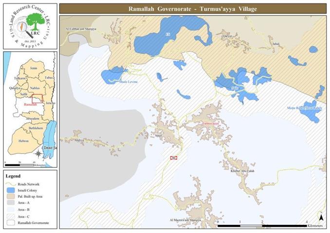 Adi Ad colonists destroy 65 olive saplings in the Ramallah village of Turmusayya