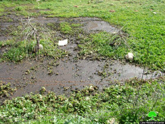 Increased Attacks on Nahhalin