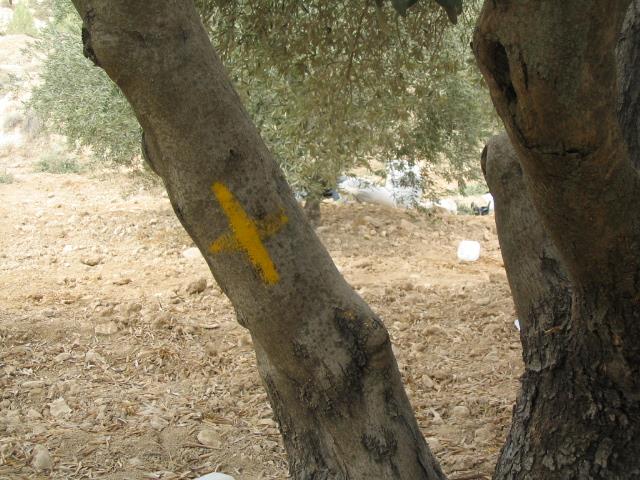 Land shaving at the eastern side of the Segregation Wall