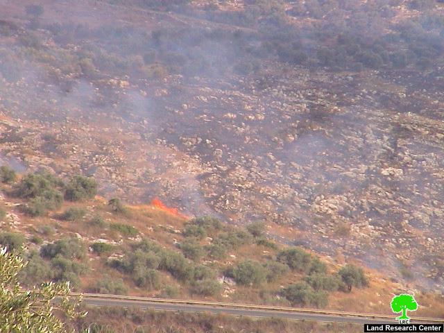 Israeli arson war continued against Palestinian agricultural land in Far’un village