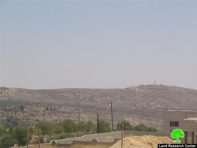 المستعمرون الاسرائيليون يسرقون أشجار الزيتون ويزرعونها داخل المستعمرات