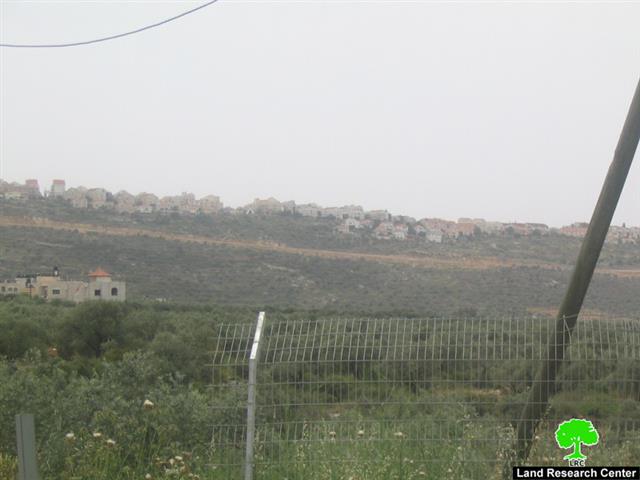 Israeli Occupation Authorities Transform the so- called “Judea and Samaria College” in Ariel Colony into a University