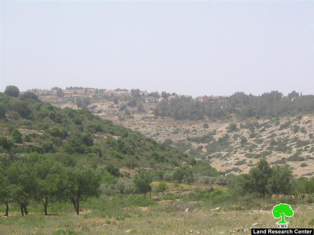 An Increase in the Frequency of Israeli Settlers’ attacks in Wadi Qana village