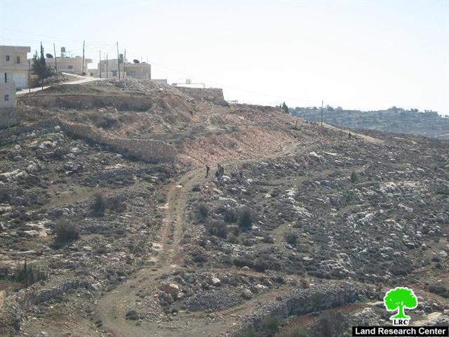 تخريب الأراضي الزراعية واعتداءات على المواطنين في بلدة العديسة