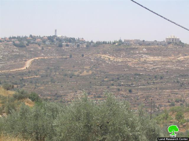 The Construction of A Colonial Road Benefiting Shilo Colonists in Qaruit Village