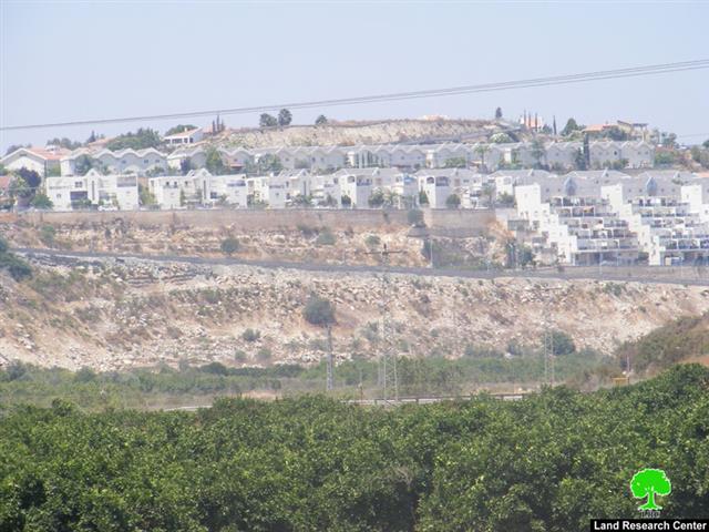 Israeli Colonists Greet the New Netanyahu Government with Continued Colonization.