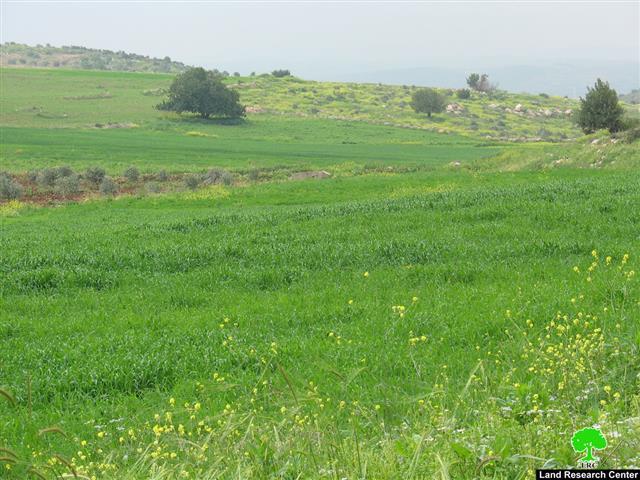 Palestinian Farmers prevented from tending their lands in the eastern side of the Segregation Wall’s path