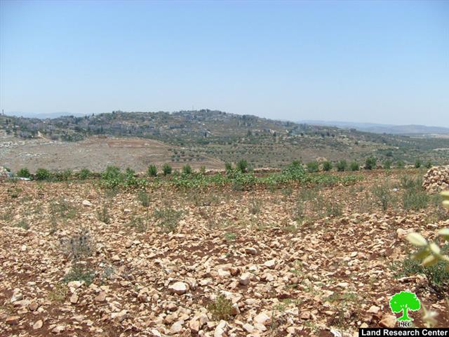 Israeli Military Orders Vacating 380 Dunums of Ya’abad Lands as a Prelude to Confiscation