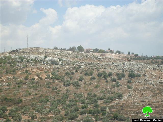 Palestinian land bulldozed for colonial expansion in Sarta village