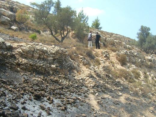 Israeli Colonists Burn More Palestinian Lands in Beit Ummar and Safa