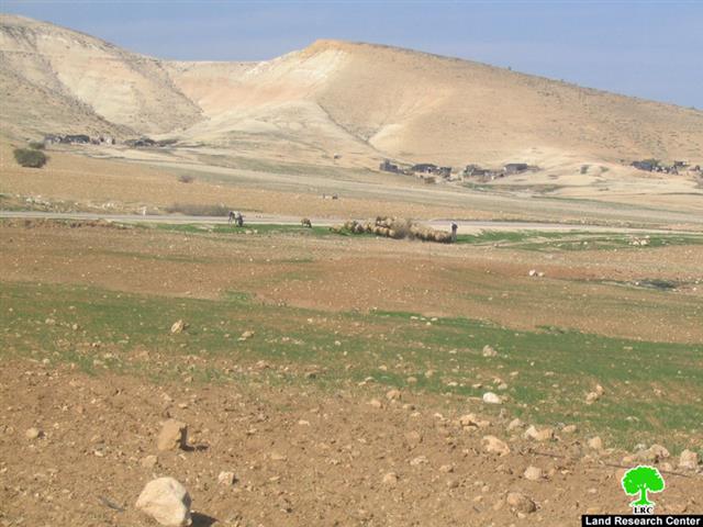 حرق عشرات الدونمات الزراعية في منطقة أم القبا في الأغوار الشمالية