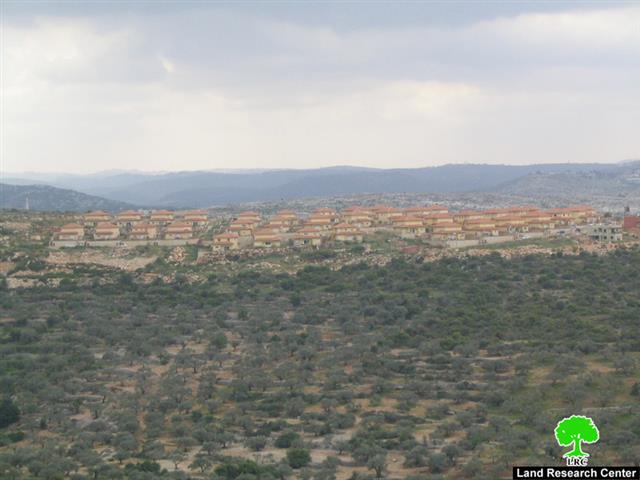 Israeli Dozers consume more Amatin lands