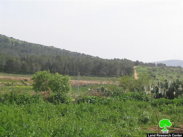 إخطاراً عسكرياً يقضي بتمديد فترة وضع اليد على أراضي 12 قرية  في محافظة جنين