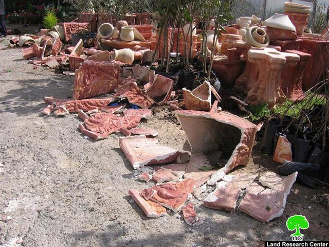 Israeli Colonists attack Al Rabe’ Plantation