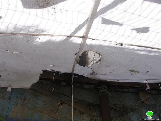 Israeli colonists attack commercial booths and a cemetery in Hebron