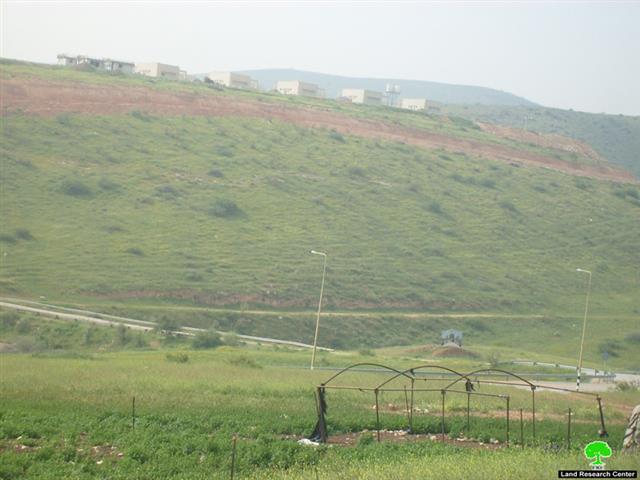 Miskiyut Recent Mass Expansions in Northern Jordan Valley