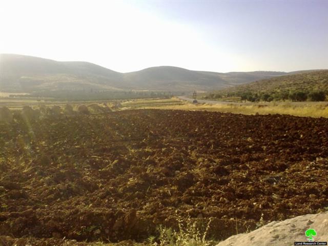 مستوطنو مستوطنة عادي عاد يحرقون 40 دونما في قرية المغير في محافظة  رام الله