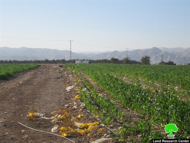 Ordering the Removal of a Number of Structures in Jericho