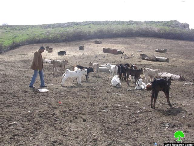 إخطار خمسة مزارعين بإخلاء أراضيهم الزراعيةفي خربة الطويل وحوض لفجم – محافظة نابلس