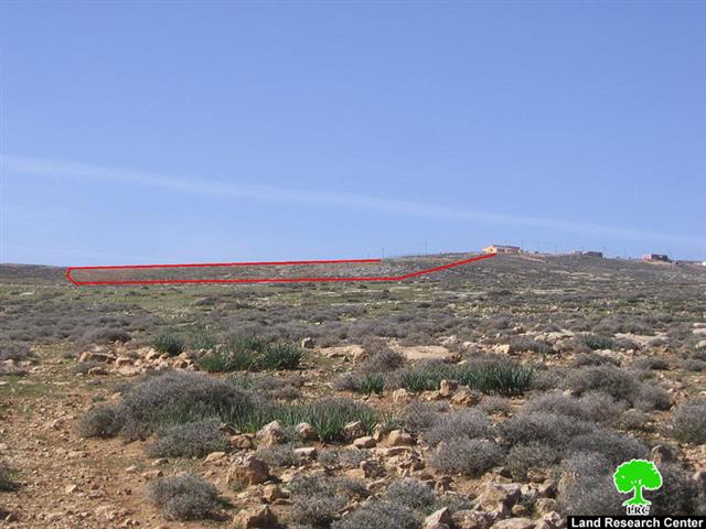 مستعمرو “متسادوت ” يزرعون أراضي المواطنين شرق سعير