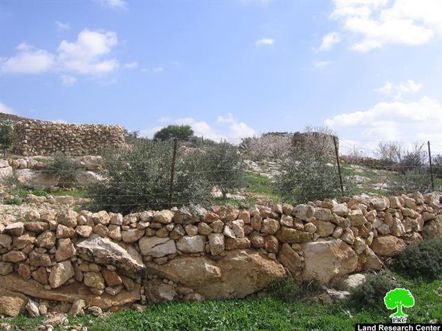 Land Eviction Notices in Beit Ulla