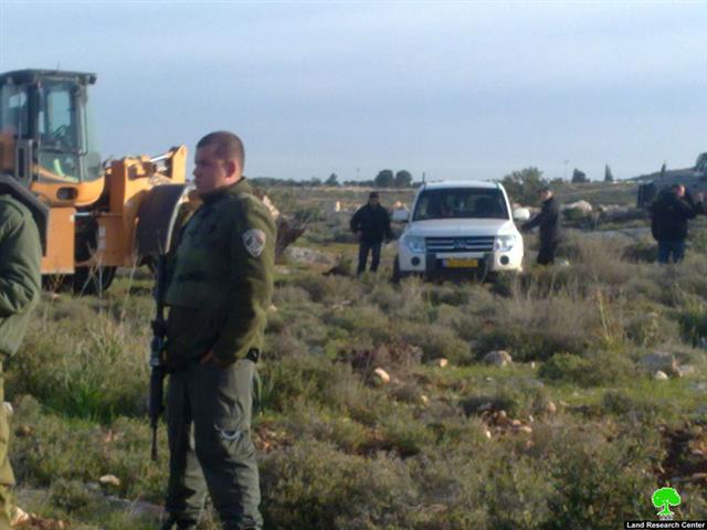 تجريف أراضي واقتلاع مئات الأشجار في بلدة صوريف غرب الخليل