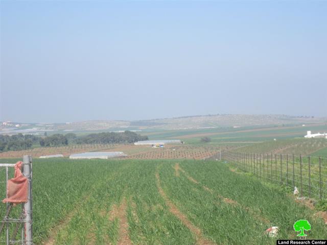 الاحتلال الإسرائيلي يواصل حرمان أهالي قرية كفر دان من استغلال المياه الجوفية في سهول القرية