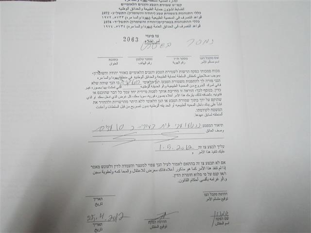 The Israeli Target Trees in Wadi Qana