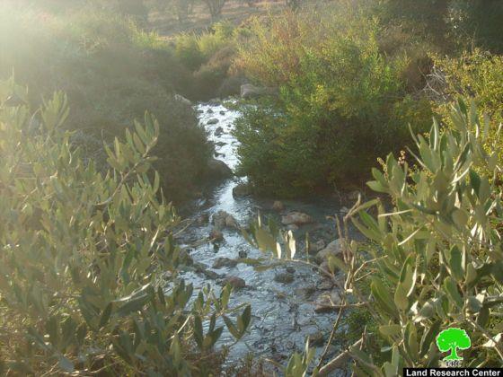 Emmanuel Colonists Pump Sewage towards Palestinian Lands