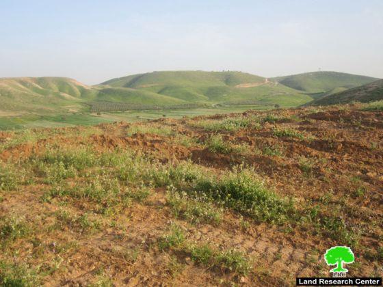 مع بداية موسم الزراعة في الأغوار الاحتلال يحول أراضي الأغوار إلى أرض محروقة