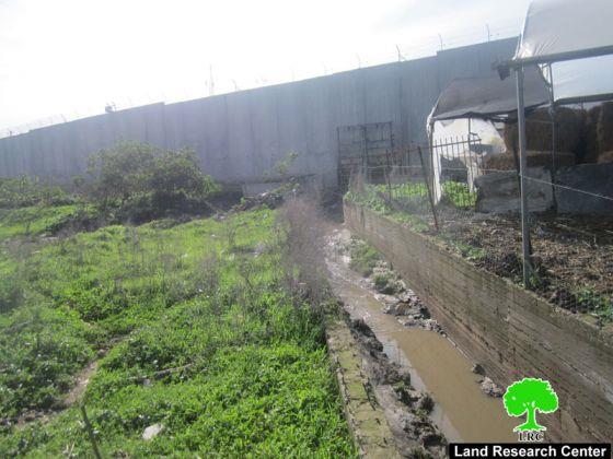 The Segregation Wall Causes floods in Qalqiliyya