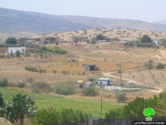 الاحتلال الإسرائيلي يصادر رأسين من الأبقار في منطقة فروش بيت دجن