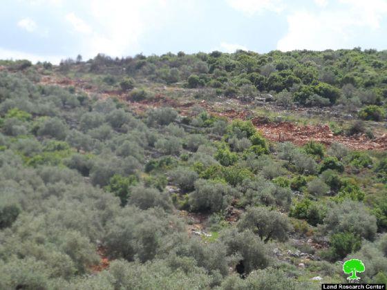 مجلس المستوطنات في واد قانا يشرع بعملية شق  طريق التفافي يحيط بمستوطنة عمانوئيل