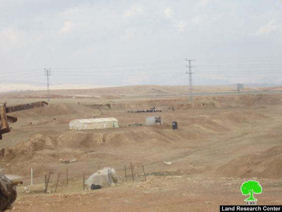 Harming Livestock  and Pastures as a New Way to Harm the Palestinian Existence in Al-Ghors