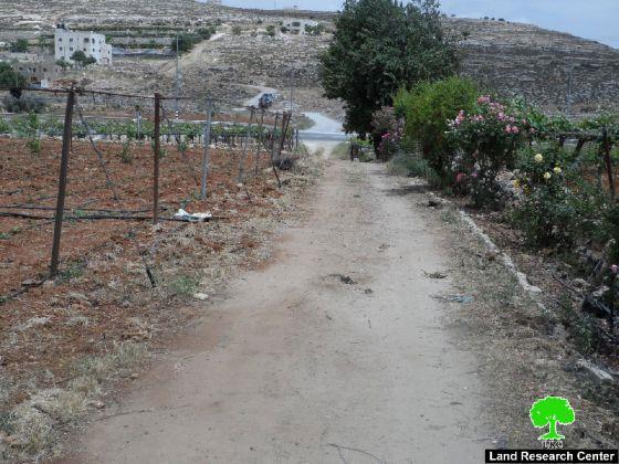 An Order for the Removal of a Side Road